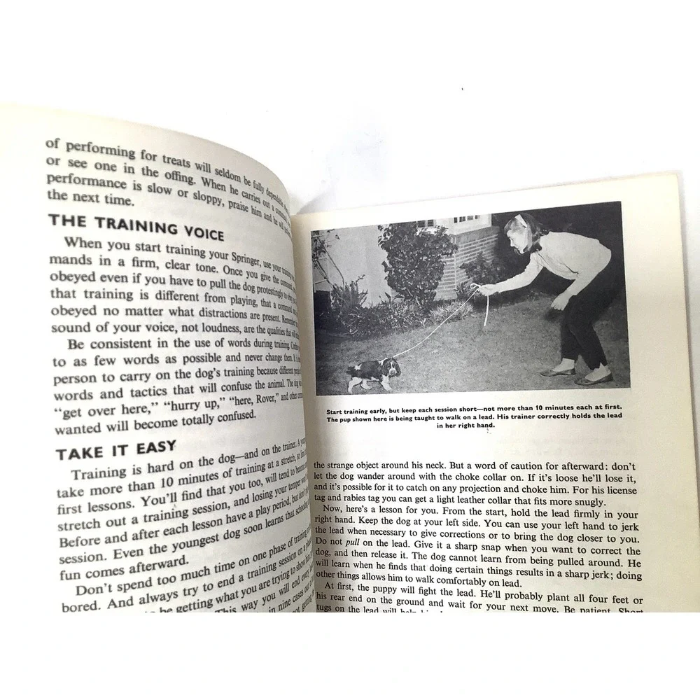 Vtg How to raise and train an English Springer Spaniel‎ Book Robert Gannon 1961